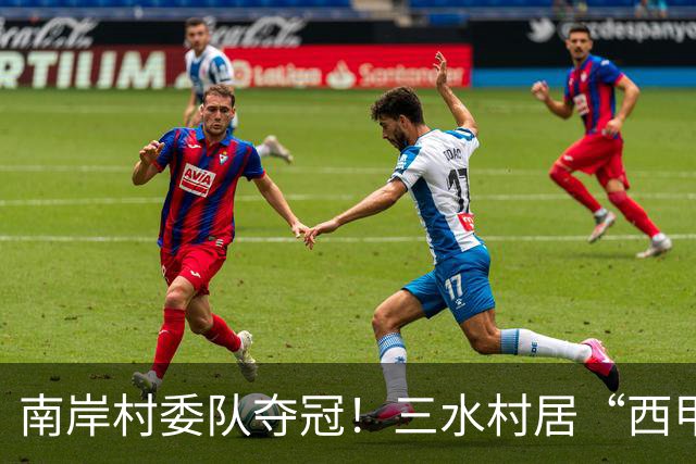 南岸村委队夺冠！三水村居“西甲”燃情落幕
